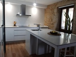 FORMICA BLANCA NORDICA 1